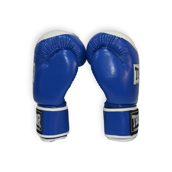 Боксерские перчатки THOR COMPETITION 10oz /Кожа /сине-белые