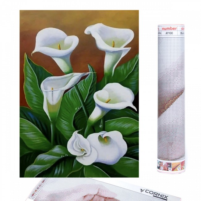 Набор алмазной мозаики (вышивки) Cornix Art 40 x 30 см AY48 Набор алмазной мозаики (вышивки) Cornix Art 40 x 30 см AY48