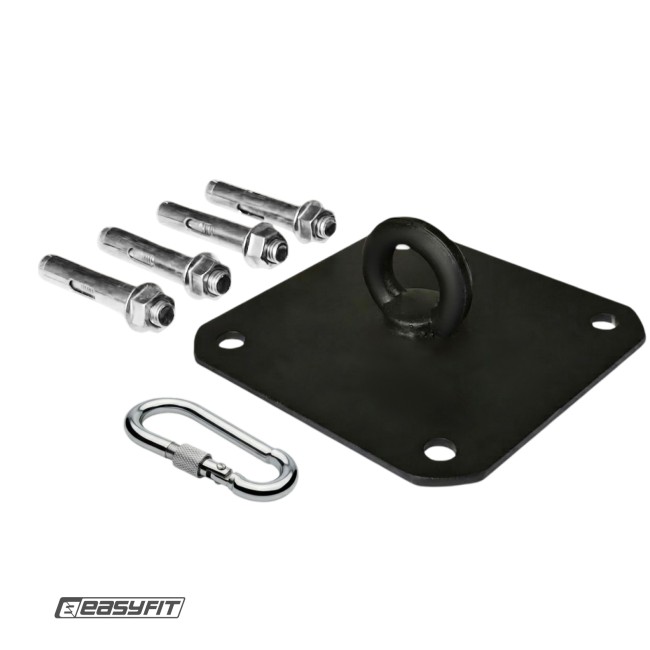 Кріплення для боксерської груші EasyFit стельове