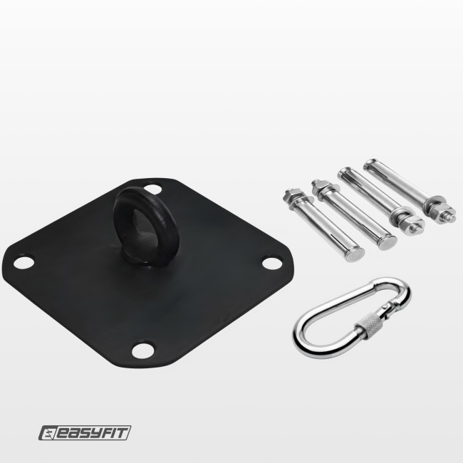 Кріплення для боксерської груші EasyFit стельове