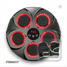 Боксерський тренажер EasyFit настінний музичний з підсвічуванням