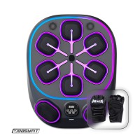 Настенный боксерский тренажер EasyFit с аперкотами (музыкальный бокс)