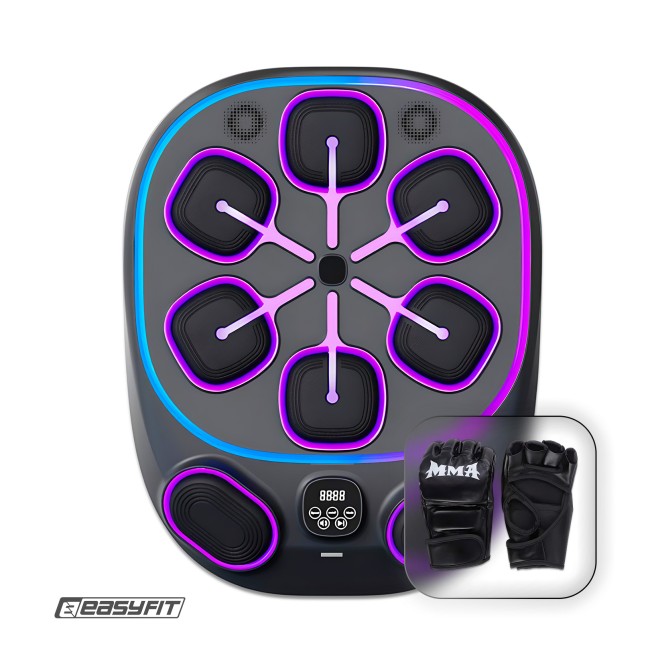 Настенный боксерский тренажер EasyFit с аперкотами (музыкальный бокс)