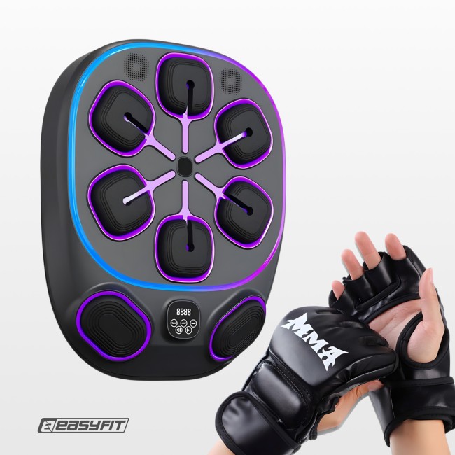 Настенный боксерский тренажер EasyFit с аперкотами (музыкальный бокс)