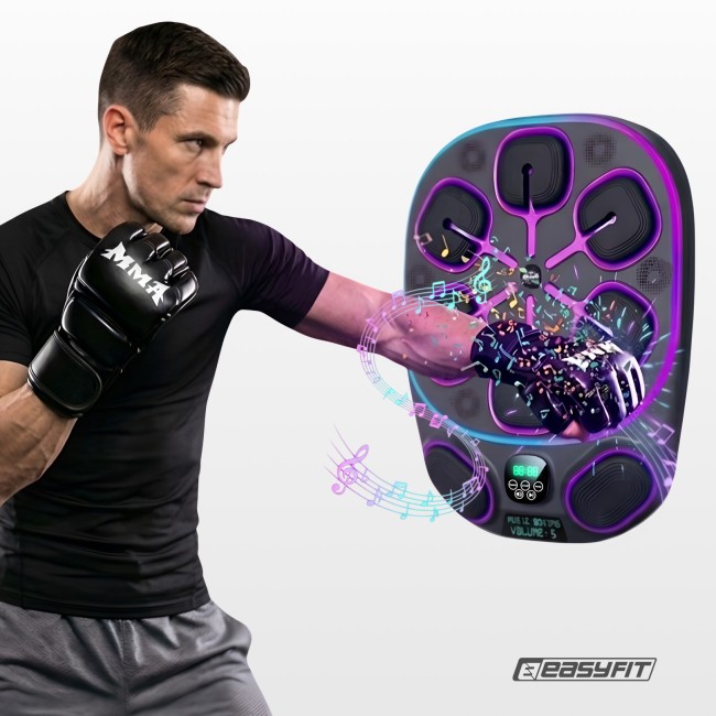 Настенный боксерский тренажер EasyFit с аперкотами (музыкальный бокс)