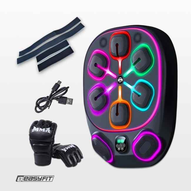 Настенный боксерский тренажер EasyFit с аперкотами (музыкальный бокс)