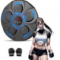 Електрична боксерська мішень з рукавичками EnergyFIT EF22