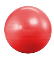 Фітбол (м'яч для фітнесу, гімнастичний) Landfit Fitness Ball 55cm with Pump