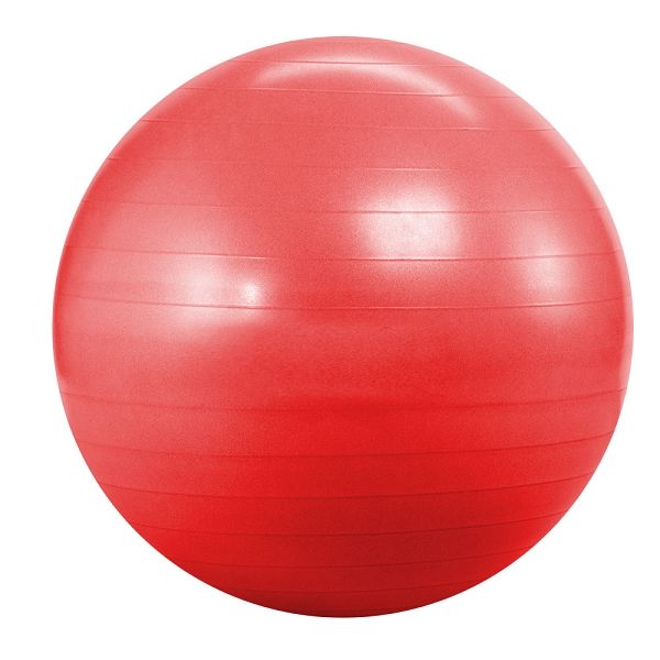 Фитбол (мяч для фитнеса, гимнастический) Landfit Fitness Ball 55cm with Pump