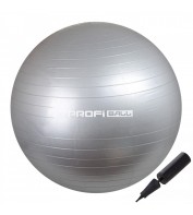 Мяч для фитнеса (фитбол) Profi 65 см M-0276-3 Grey