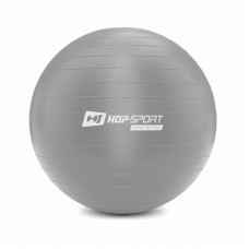 Фитбол, гимнастический мяч для фитнеса Hop-Sport 65cm серебристый + насос