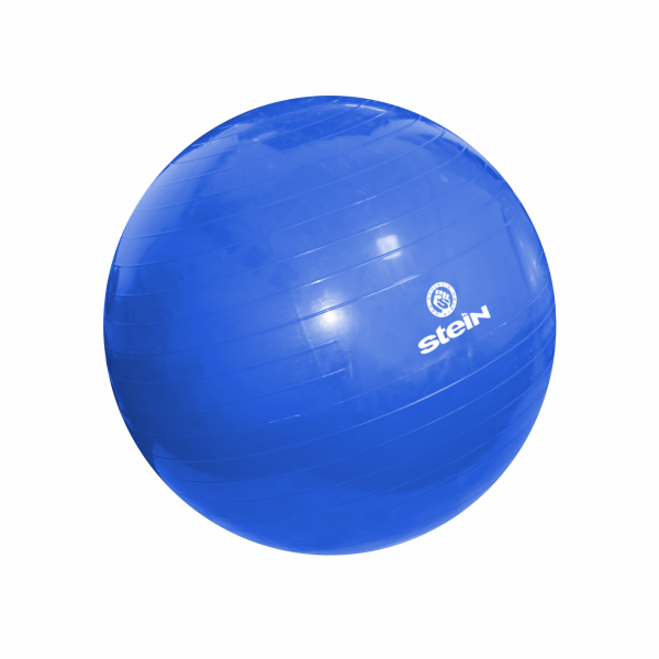 Фитбол, гимнастический мяч для фитнеса Stein 65 см