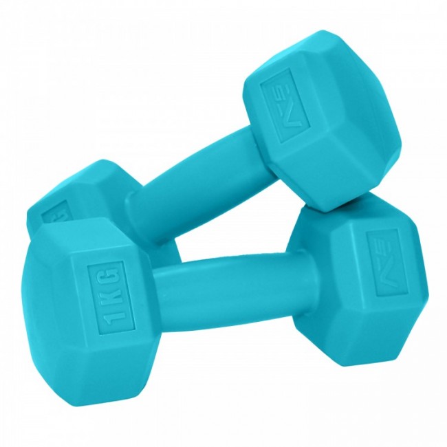Гантели для фитнеса SportVida 2 x 1 кг SV-HK0217