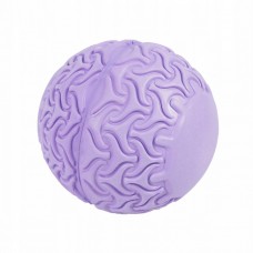 Масажний м'ячик SportVida Massage Ball 13 см SV-HK0233 Purple
