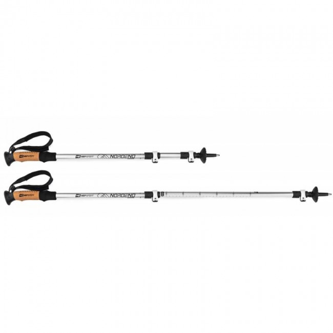 Трекинговые палки Hop-Sport Nordend Pro серебристые