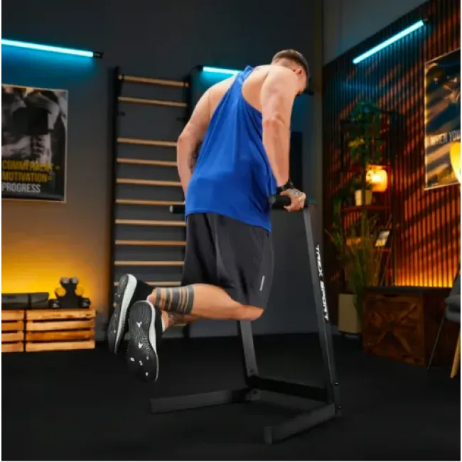 Брусья стационарные напольные Trex Sport TX-035DS