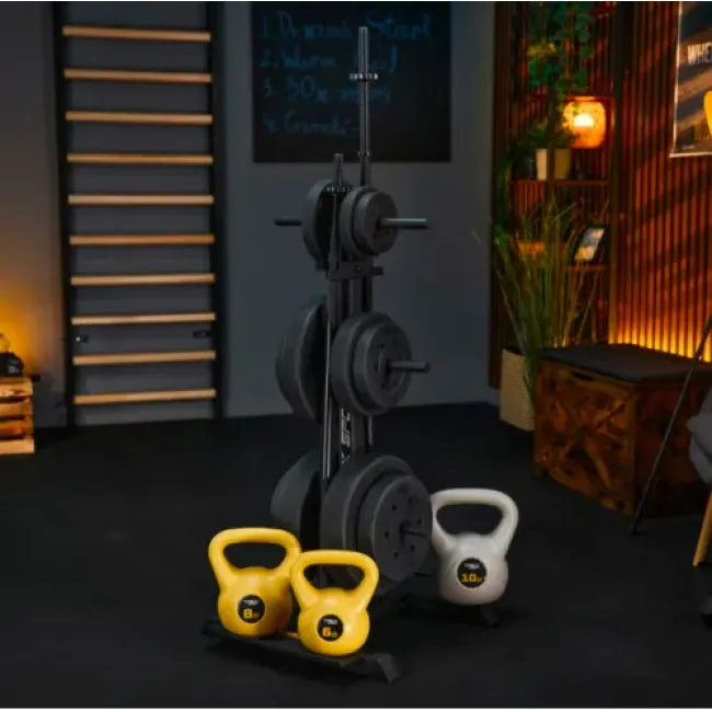 Стійка для дисків та грифів Trex Sport TX-065WR з полицями