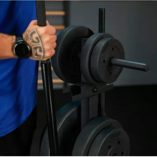 Стійка для дисків та грифів Trex Sport TX-065WR з полицями