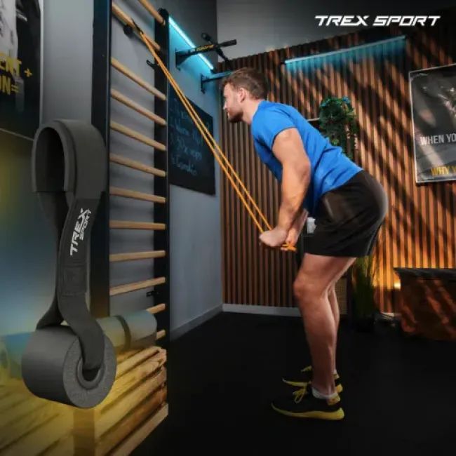 Набор резинок для фитнеса Trex Sport TX-004PB Power Band 4в1 2-41кг