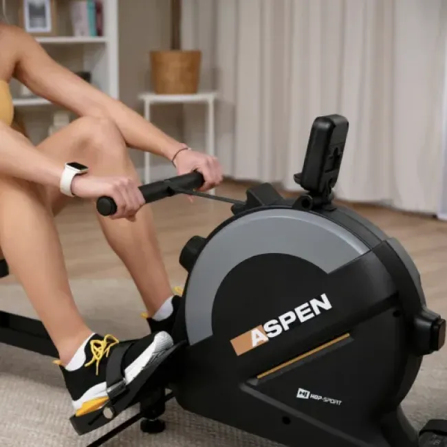 Гребной тренажер Hop-Sport HS-080R Aspen магнитный черно-золотистый