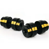 Гантели разборные Besport PowerPro 2х31кг