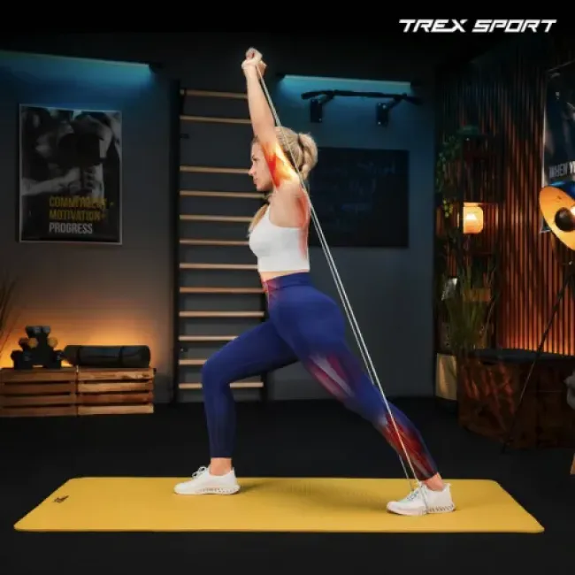 Набор резинок для фитнеса Trex Sport TX-003PB 3в1 2-30кг