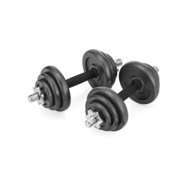 Набір гантелі в кейсі Gymtek чавунні 2х10 кг
