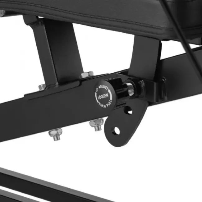 Тренировочная скамья Gymtek XL800 с эспандерами и партой Скотта