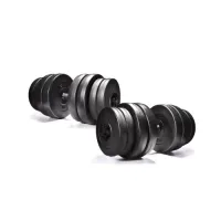 Гантели Elitum 2 х 31 кг