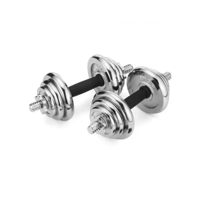 Набір гантелі в кейсі Gymtek хромовані 2х10 кг