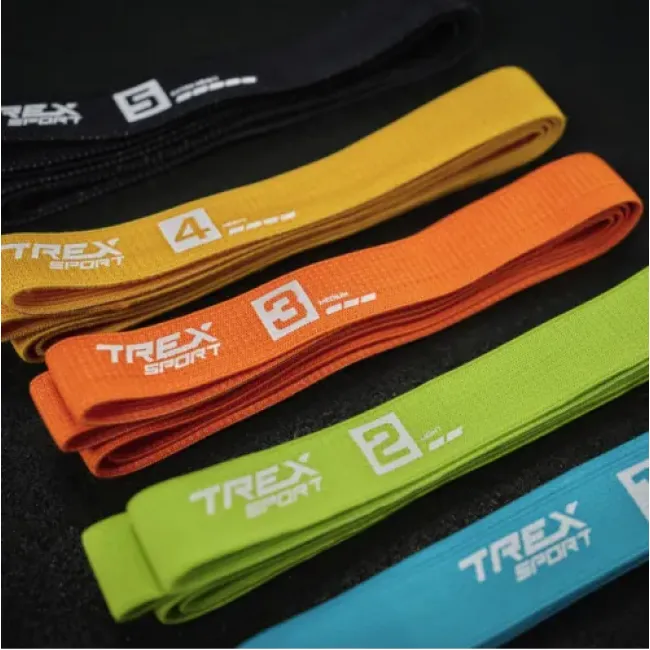 Набір гумок для фітнесу Trex Sport TX-005PB 5в1 set B