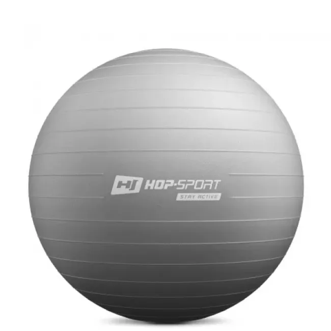 Фитбол Hop-Sport 65см серый + насос