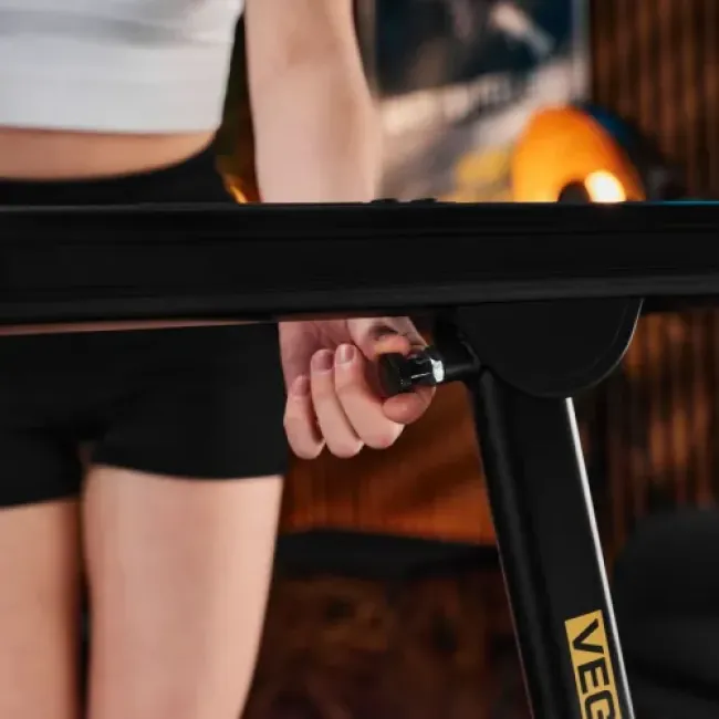 Беговая дорожка Trex Sport TX-800TM VEGA
