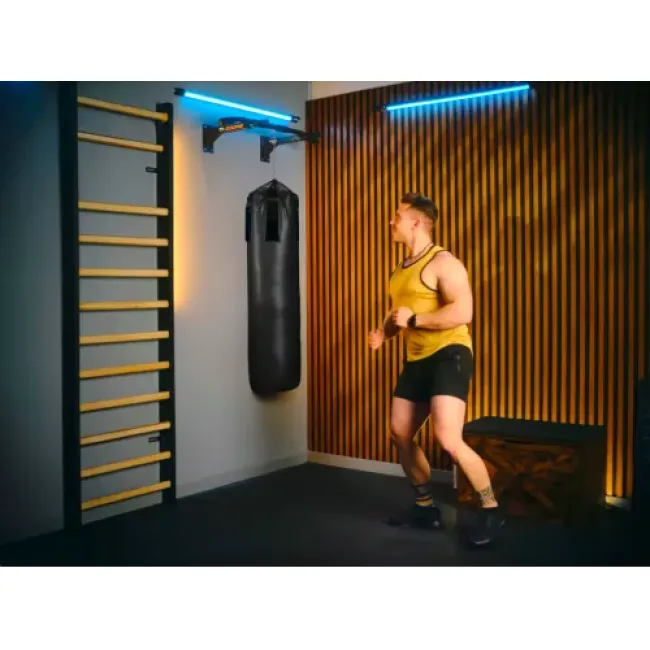 Турник настенный Trex Sport TX-030PB черный