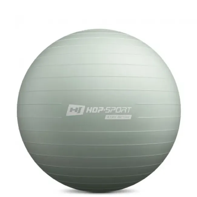Фитбол Hop-Sport 65см шалфейный + насос