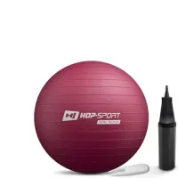 Фитбол Hop-Sport 45см сливовый + насос