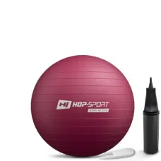 Фитбол Hop-Sport 45см сливовый + насос