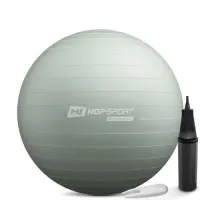 Фитбол Hop-Sport 65см шалфейный + насос