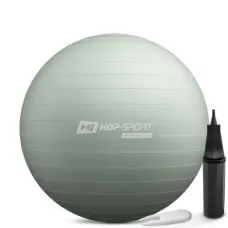 Фитбол Hop-Sport 65см шалфейный + насос