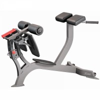 Тренажер Гіперекстензія горизонтальна X-Line X319