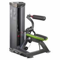 Тренажер Разгибание спины InterAtletika Xline XR135