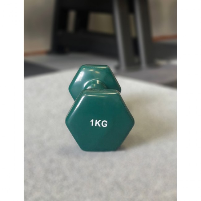 Гантель для фітнесу 1 кг 1шт з вініловим покриттям Generation Fitness FF51D3A-1kg (темно-зелений)