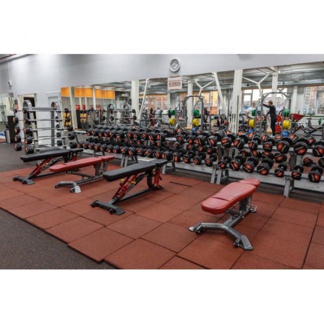 Обгумований гантельний ряд Generation Fitness FDS-10 2,5-30kg (12 пар) 390 кг