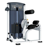 Тренажер Разгибание спины IMPULSE Evolution Back Extension IT9532