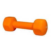 Гантель для фитнеса 2 кг 1шт неопреновая Stein оранжевая