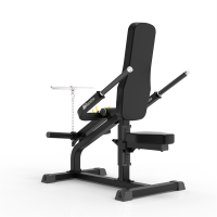 Тренажер Біцепс-трицепс Impulse IFP line