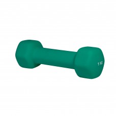 Гантель для фитнеса 1 кг 1шт неопреновая Stein зелёная