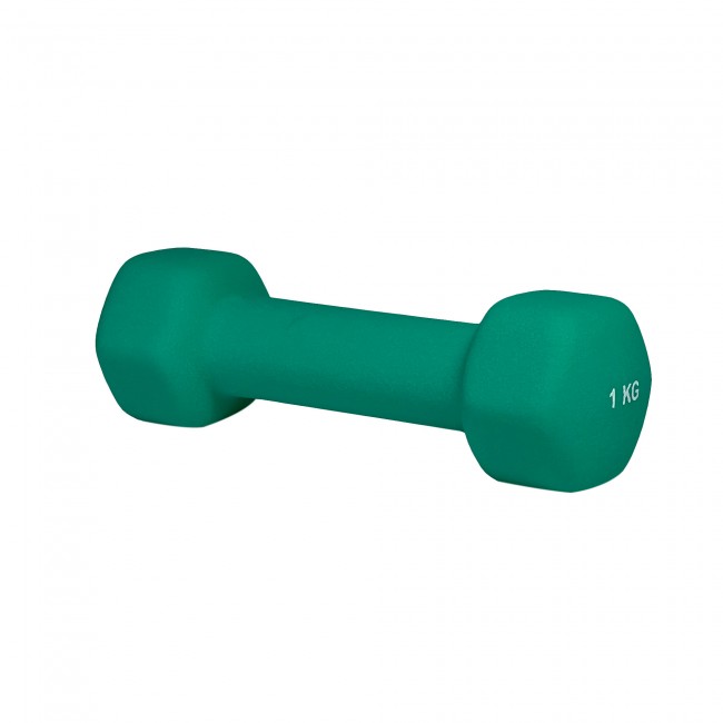 Гантель для фитнеса 1 кг 1шт неопреновая Stein зелёная