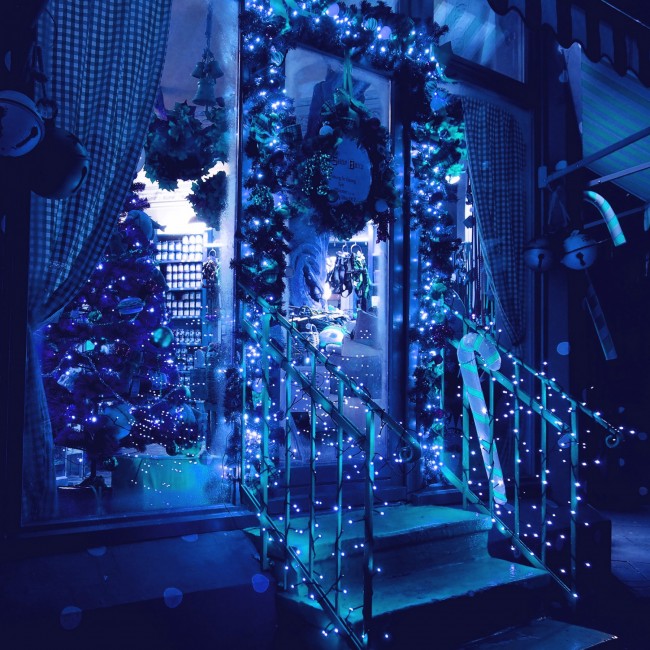 Гирлянда уличная (наружная) Springos 18 м 300 LED CL0327 Blue