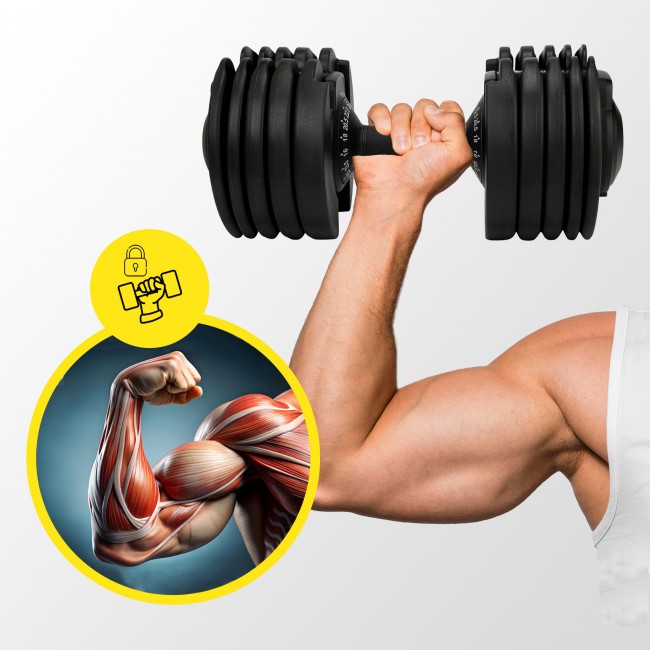 Гантель з регульованою вагою Cornix 2.5-24 кг XR-0405 Black